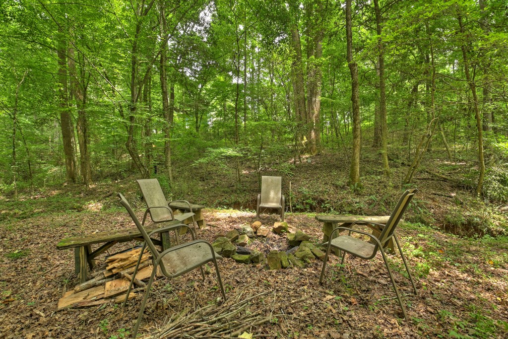 119 Farmstead Road Ellijay, GA 30540 - Photo 24 of 30