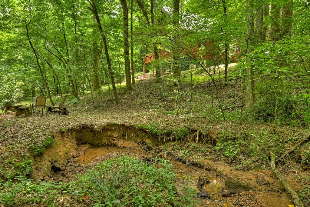 119 Farmstead Road Ellijay, GA 30540 - Photo 25 of 30