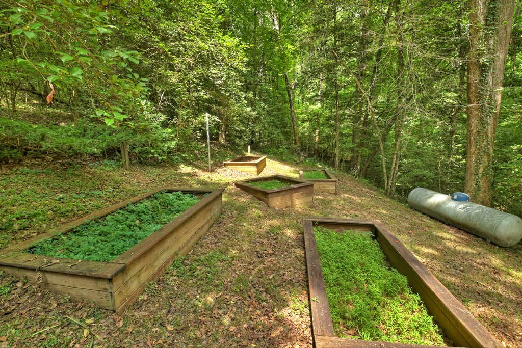 119 Farmstead Road Ellijay, GA 30540 - Photo 30 of 30