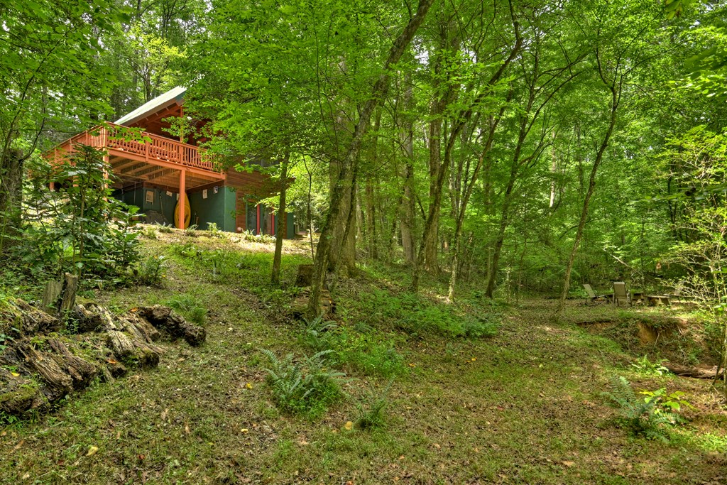 119 Farmstead Road Ellijay, GA 30540 - Photo 3 of 30
