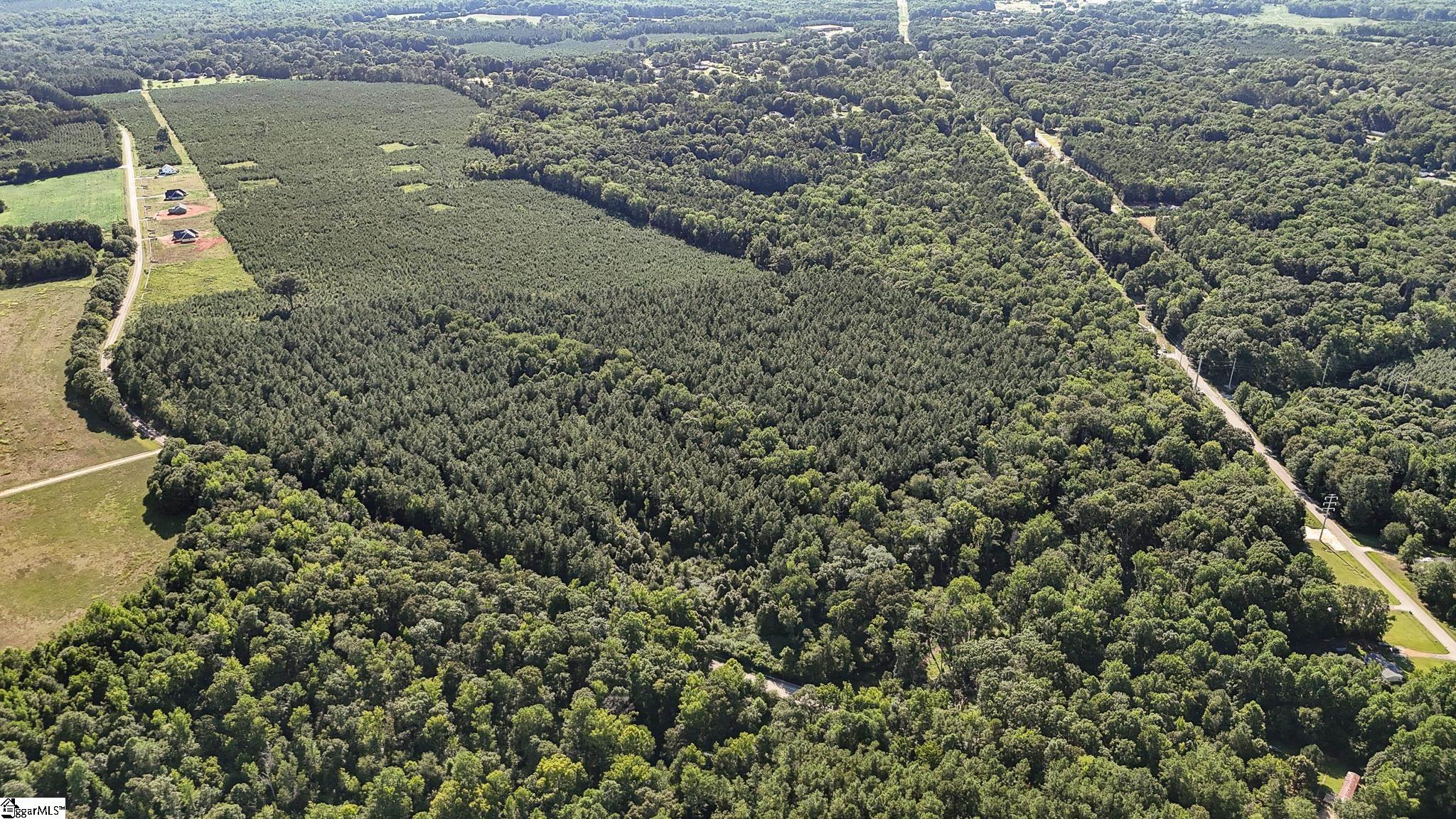 0 Young Road Clinton, SC 29325 - Photo 11 of 26