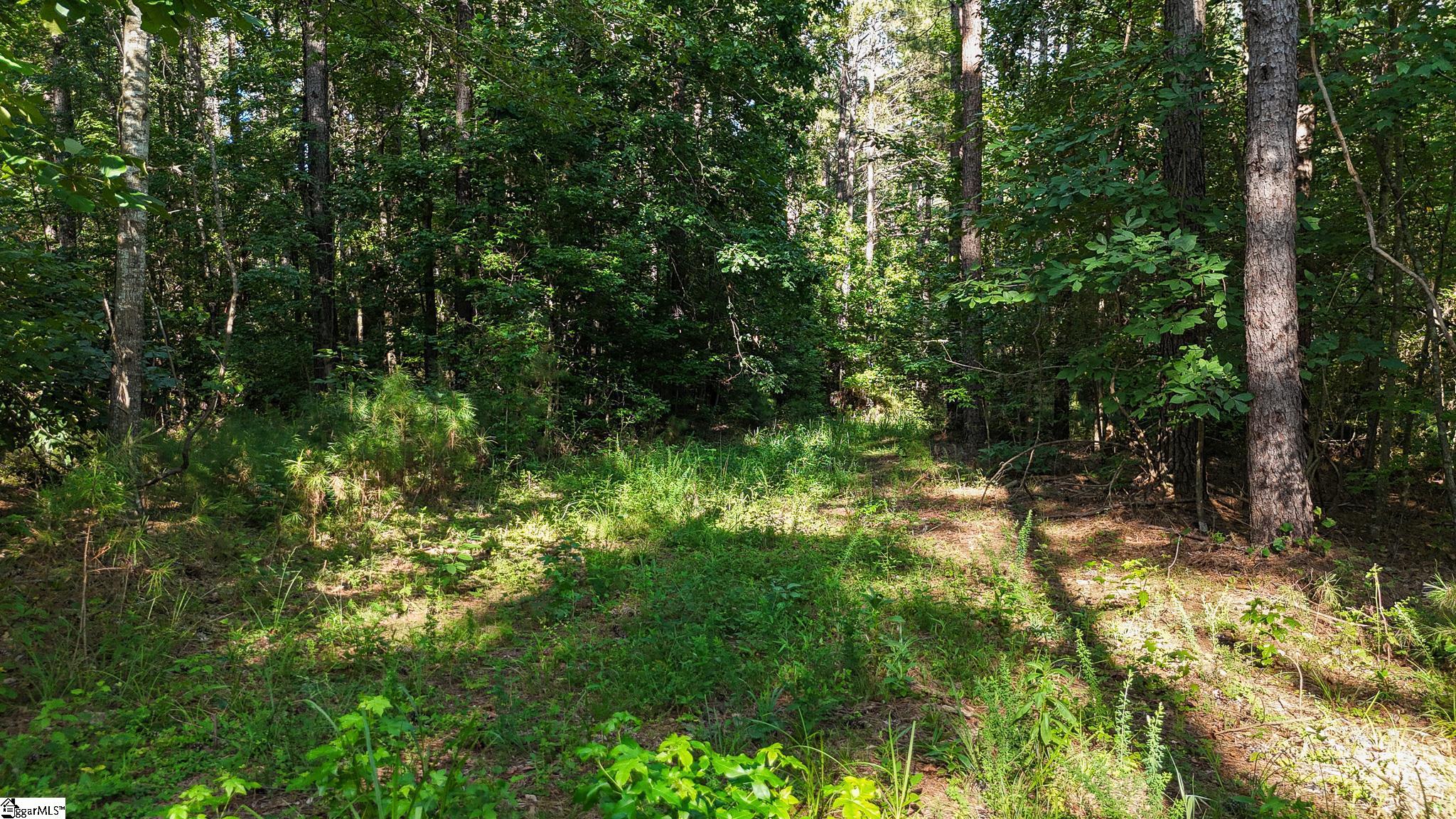 0 Young Road Clinton, SC 29325 - Photo 15 of 26