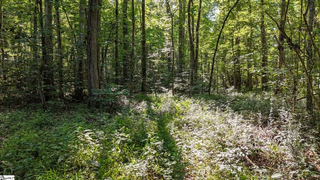 $1,415,250 | 0 Young Road, Clinton, SC 29325