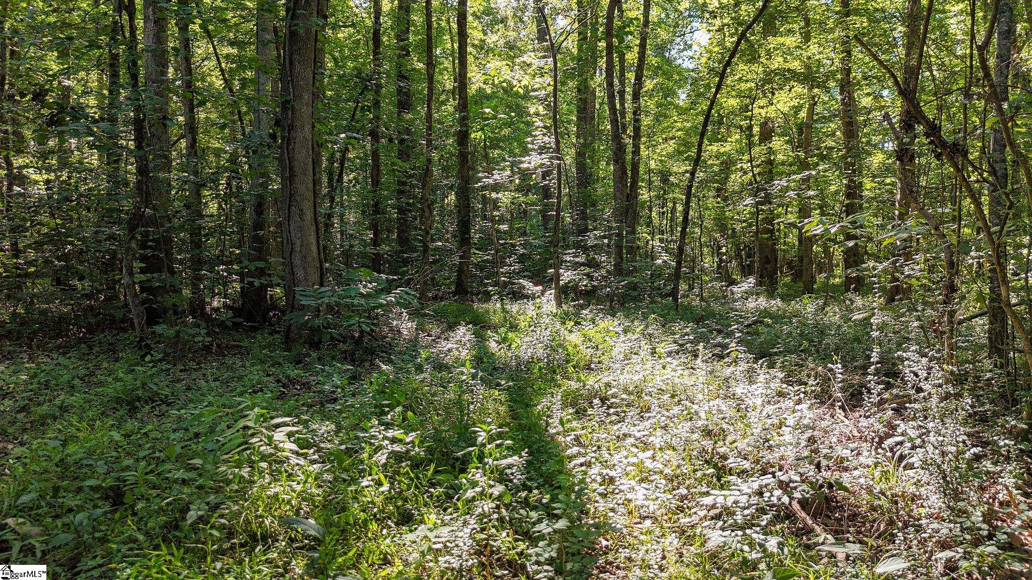 0 Young Road Clinton, SC 29325 - Photo 16 of 26