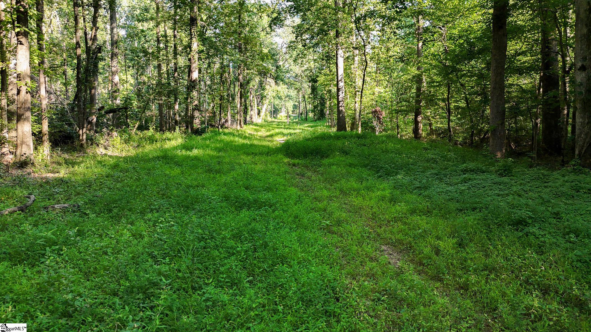 0 Young Road Clinton, SC 29325 - Photo 17 of 26