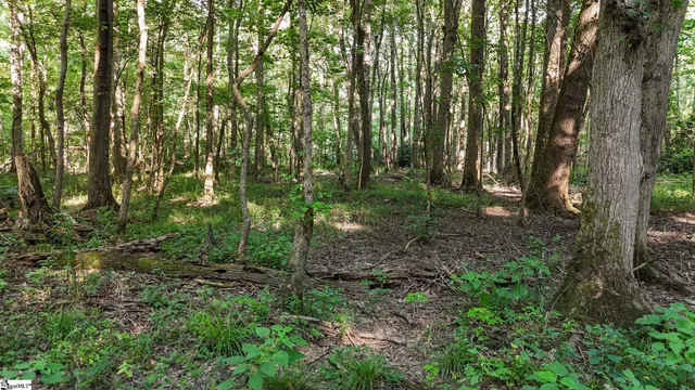 $1,415,250 | 0 Young Road, Clinton, SC 29325