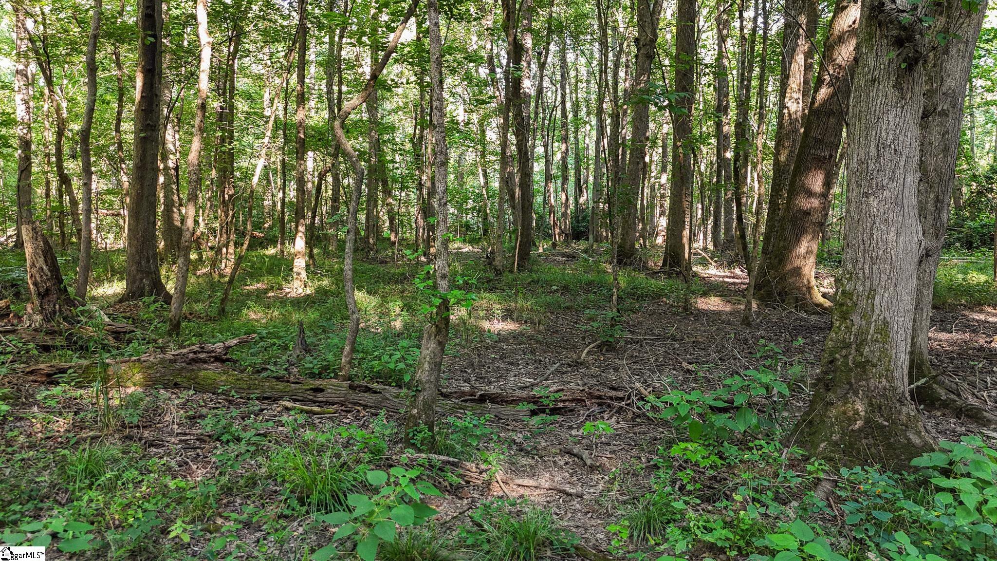 0 Young Road Clinton, SC 29325 - Photo 18 of 26