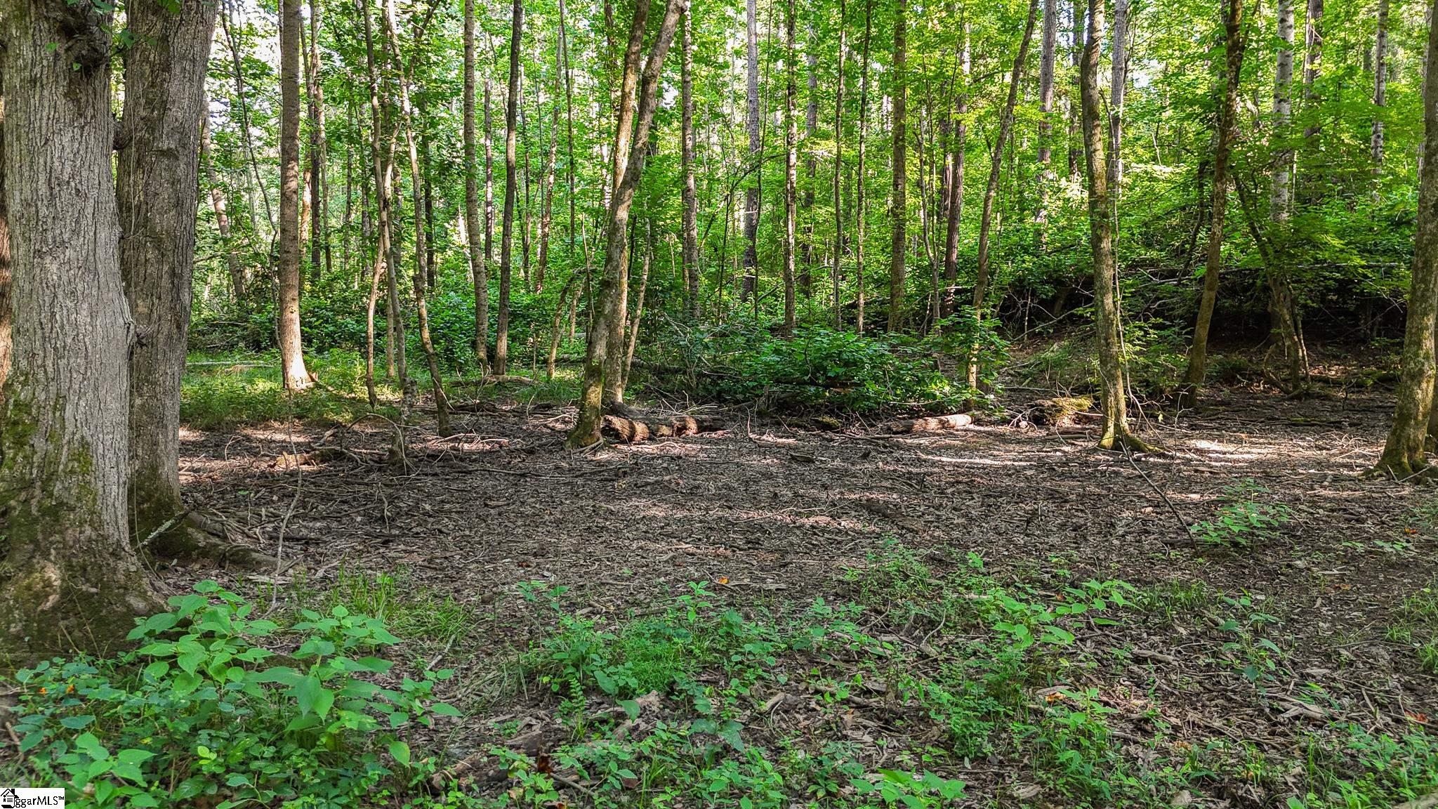 0 Young Road Clinton, SC 29325 - Photo 19 of 26