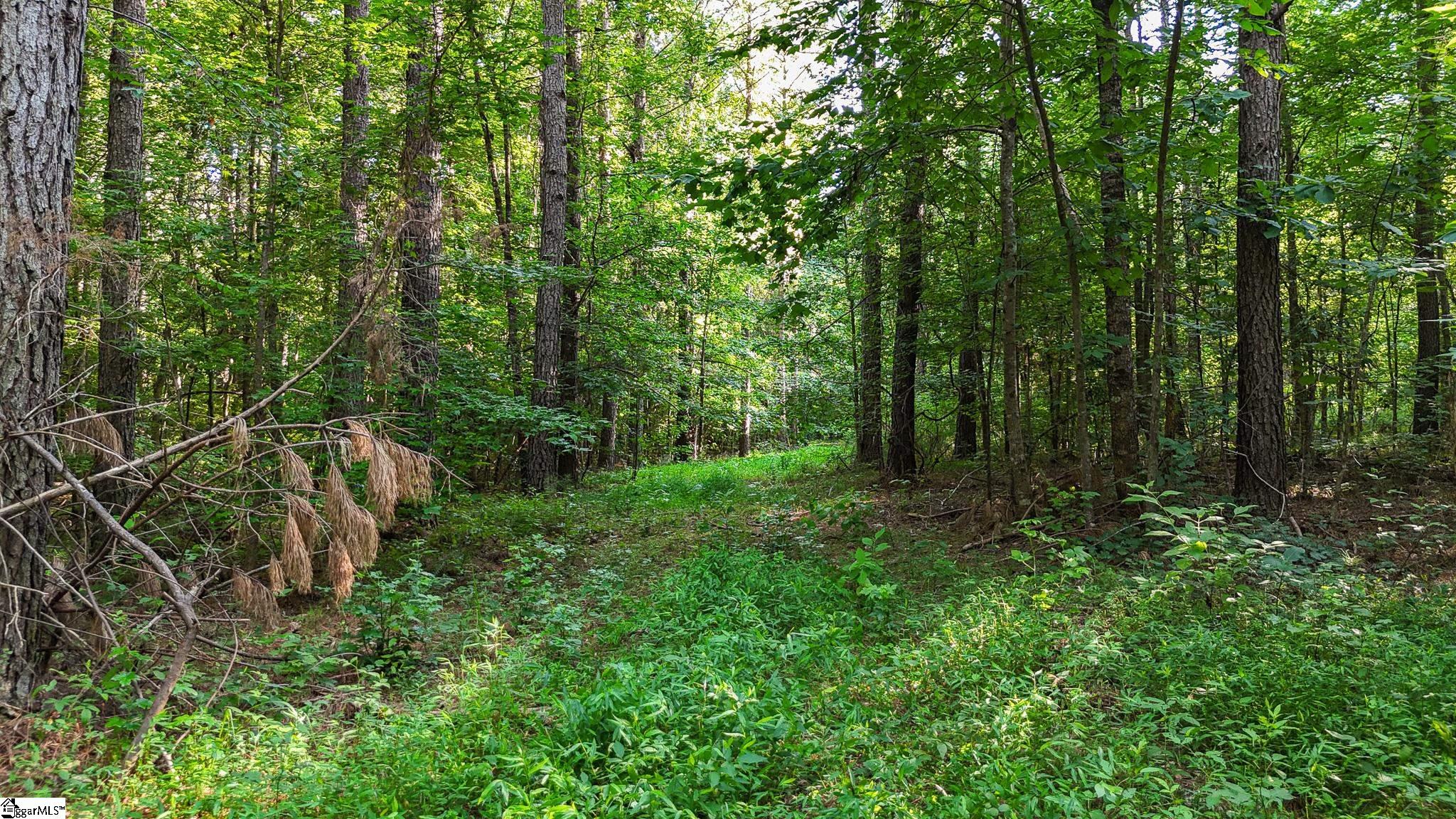 0 Young Road Clinton, SC 29325 - Photo 20 of 26