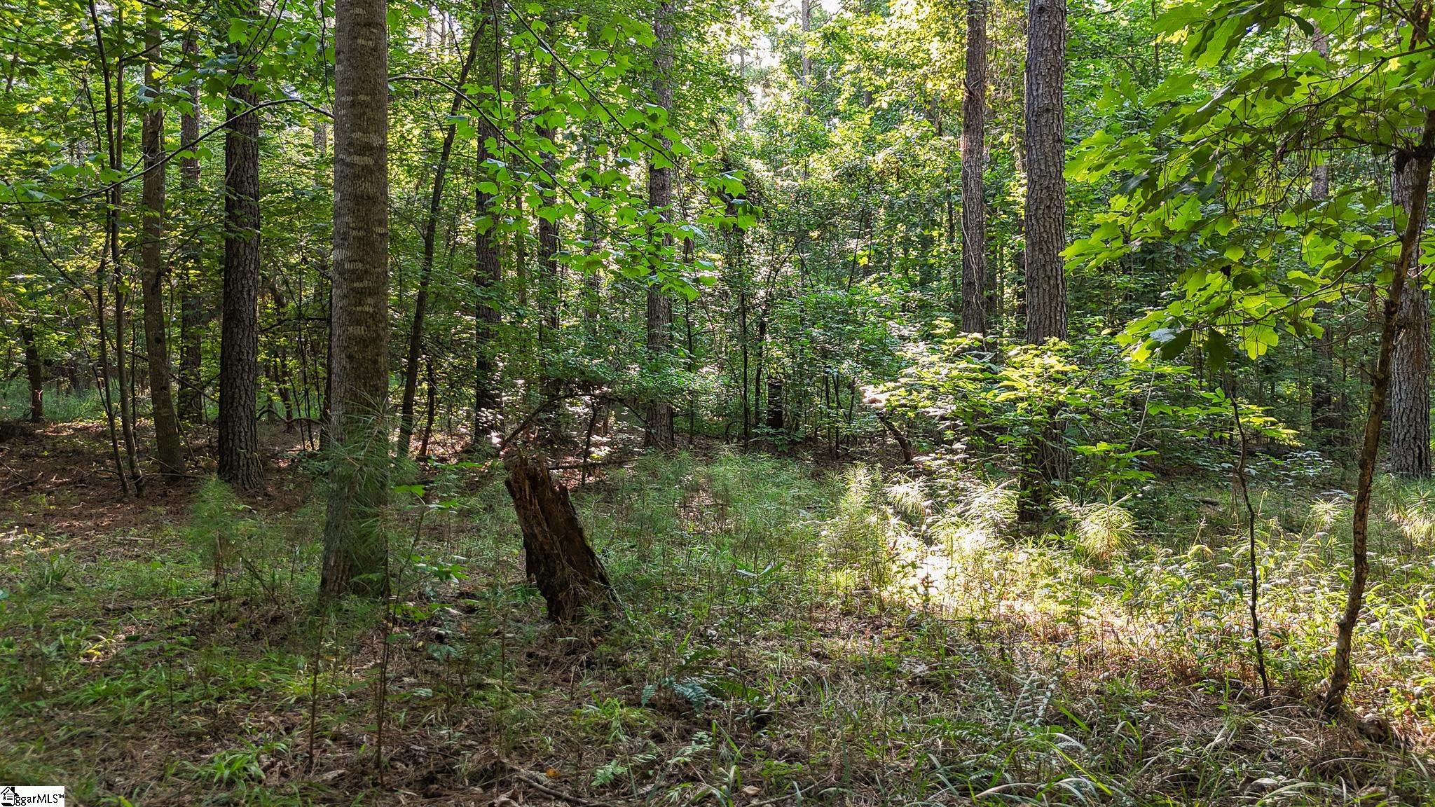 0 Young Road Clinton, SC 29325 - Photo 22 of 26
