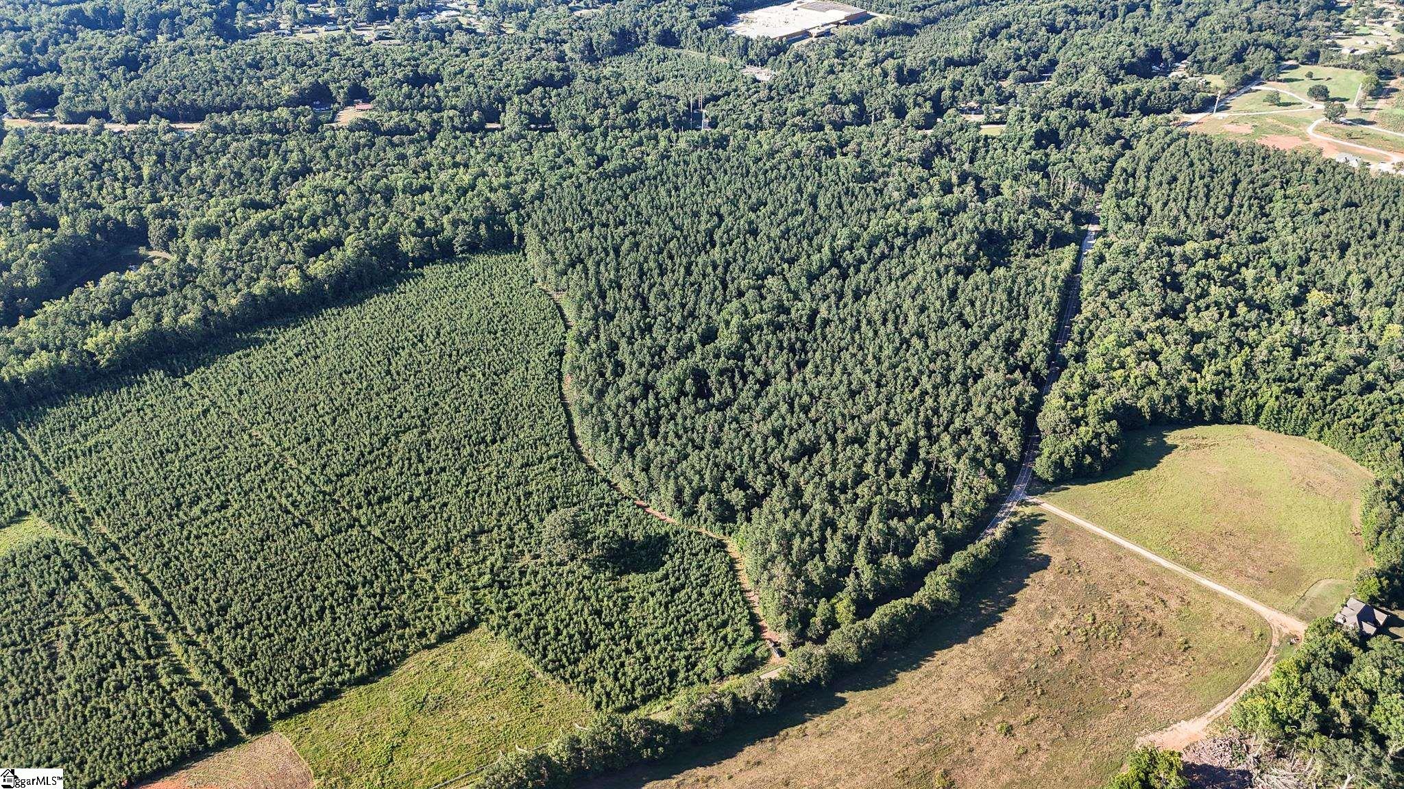 0 Young Road Clinton, SC 29325 - Photo 23 of 26