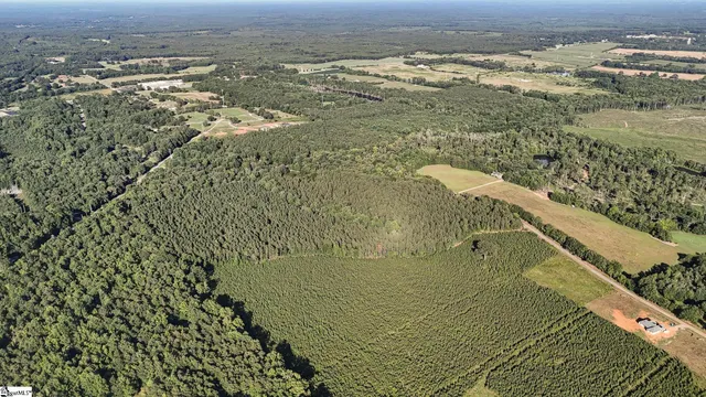 $1,415,250 | 0 Young Road, Clinton, SC 29325