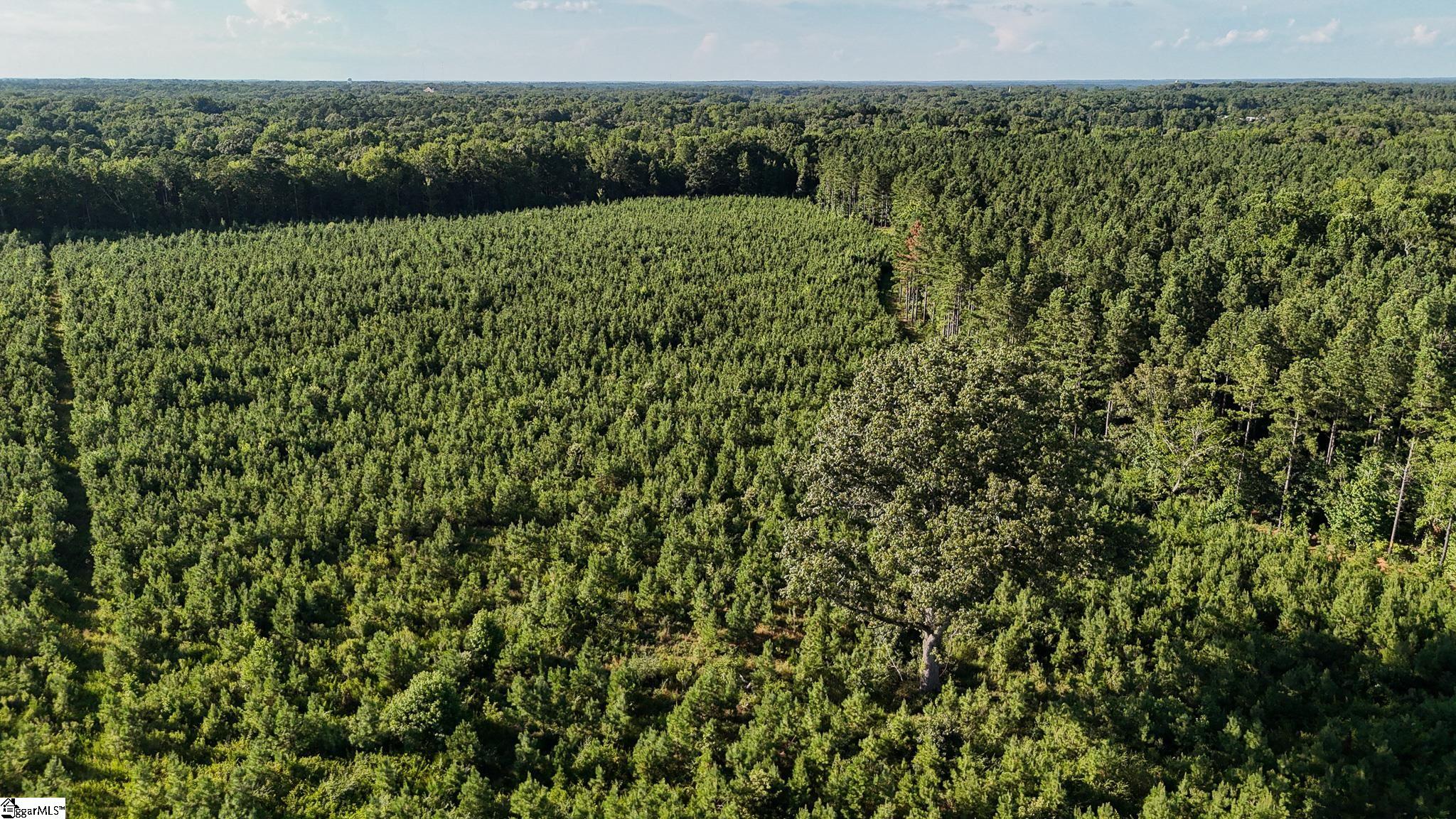 0 Young Road Clinton, SC 29325 - Photo 26 of 26