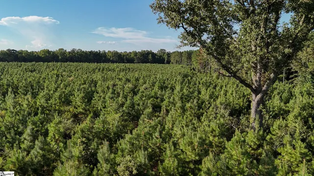 $1,415,250 | 0 Young Road, Clinton, SC 29325