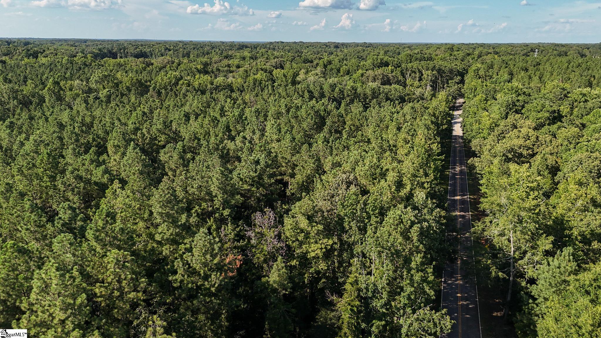 0 Young Road Clinton, SC 29325 - Photo 5 of 26