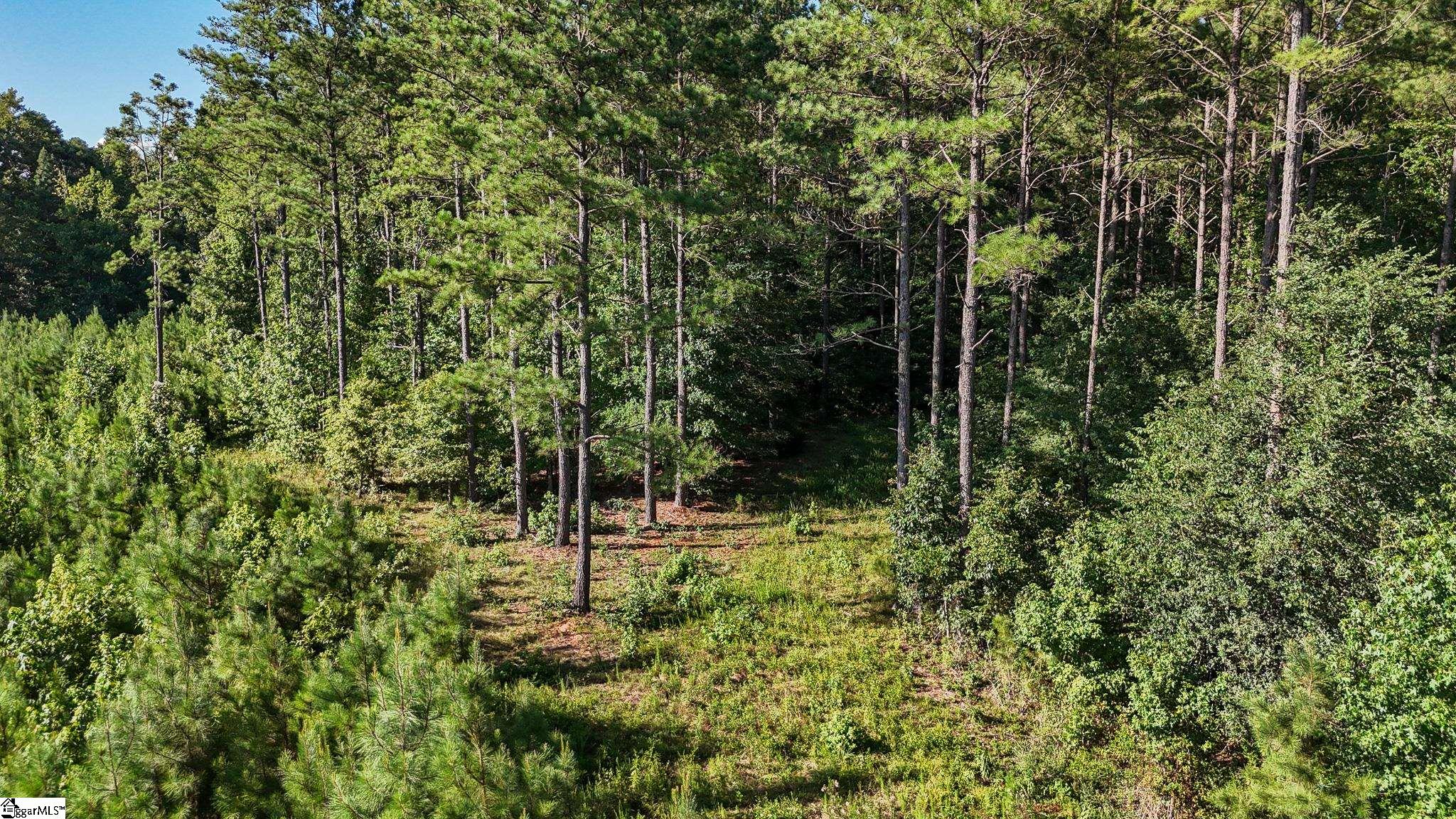 0 Young Road Clinton, SC 29325 - Photo 6 of 26
