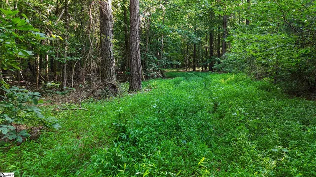 $1,415,250 | 0 Young Road, Clinton, SC 29325