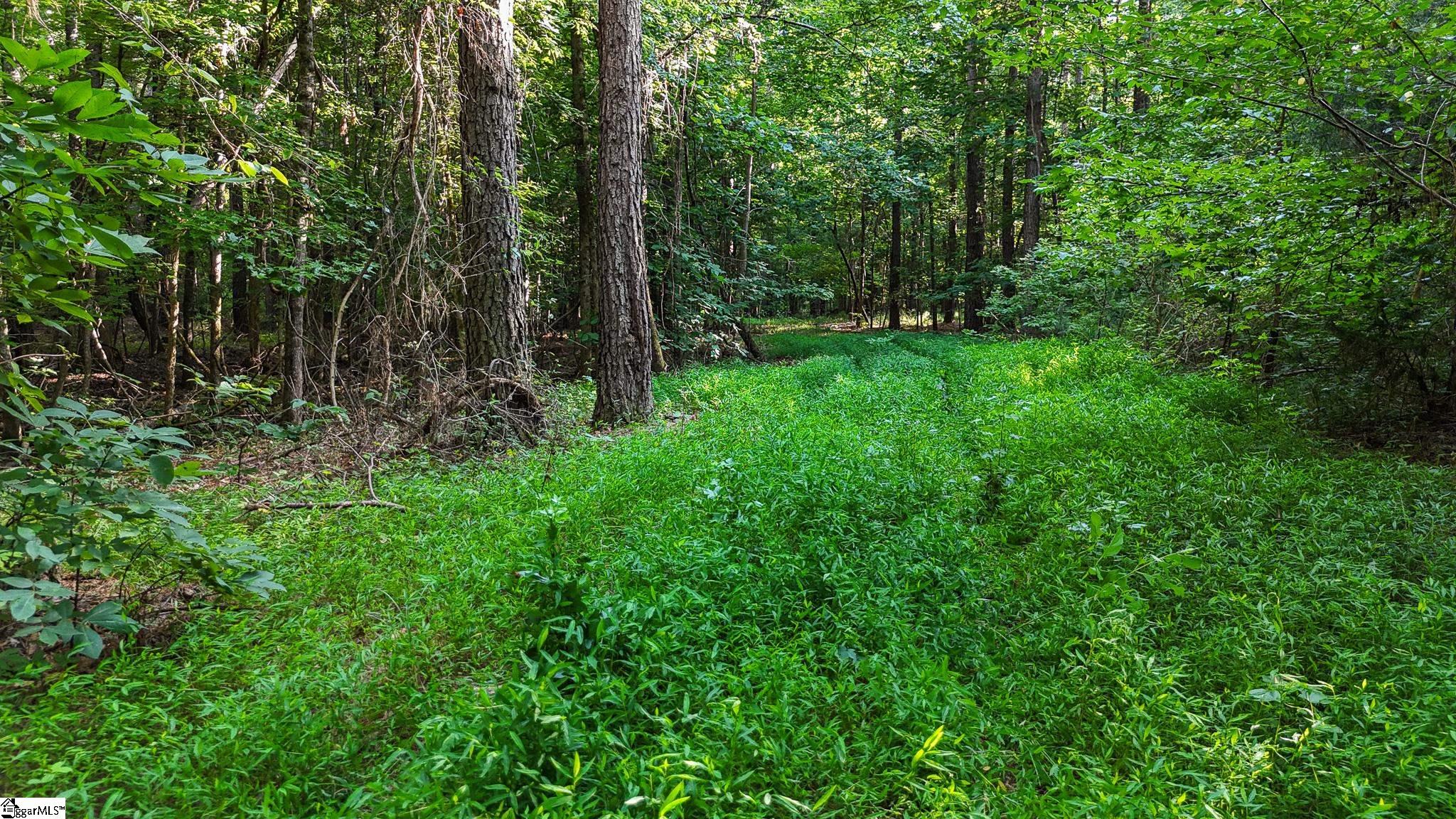 0 Young Road Clinton, SC 29325 - Photo 7 of 26