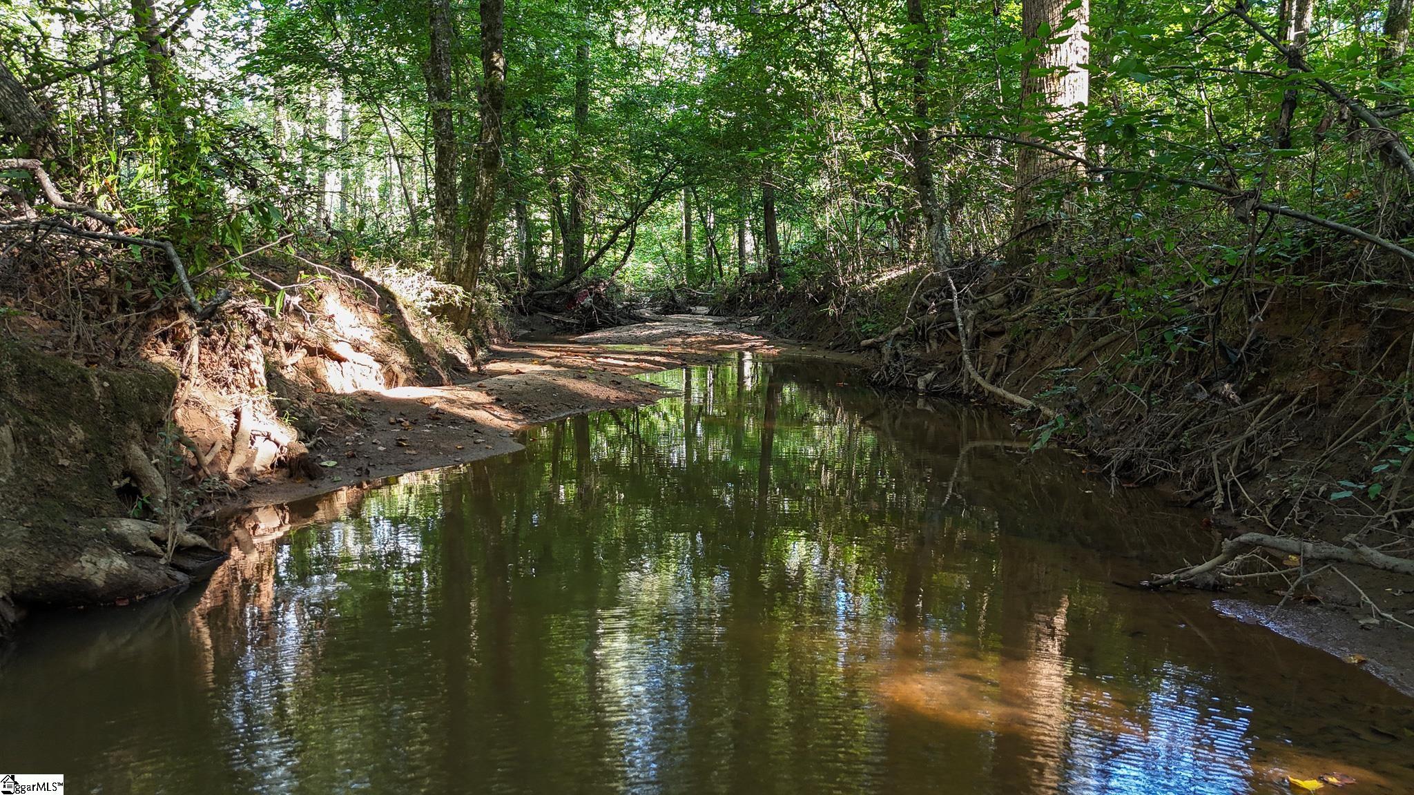 0 Young Road Clinton, SC 29325 - Photo 8 of 26
