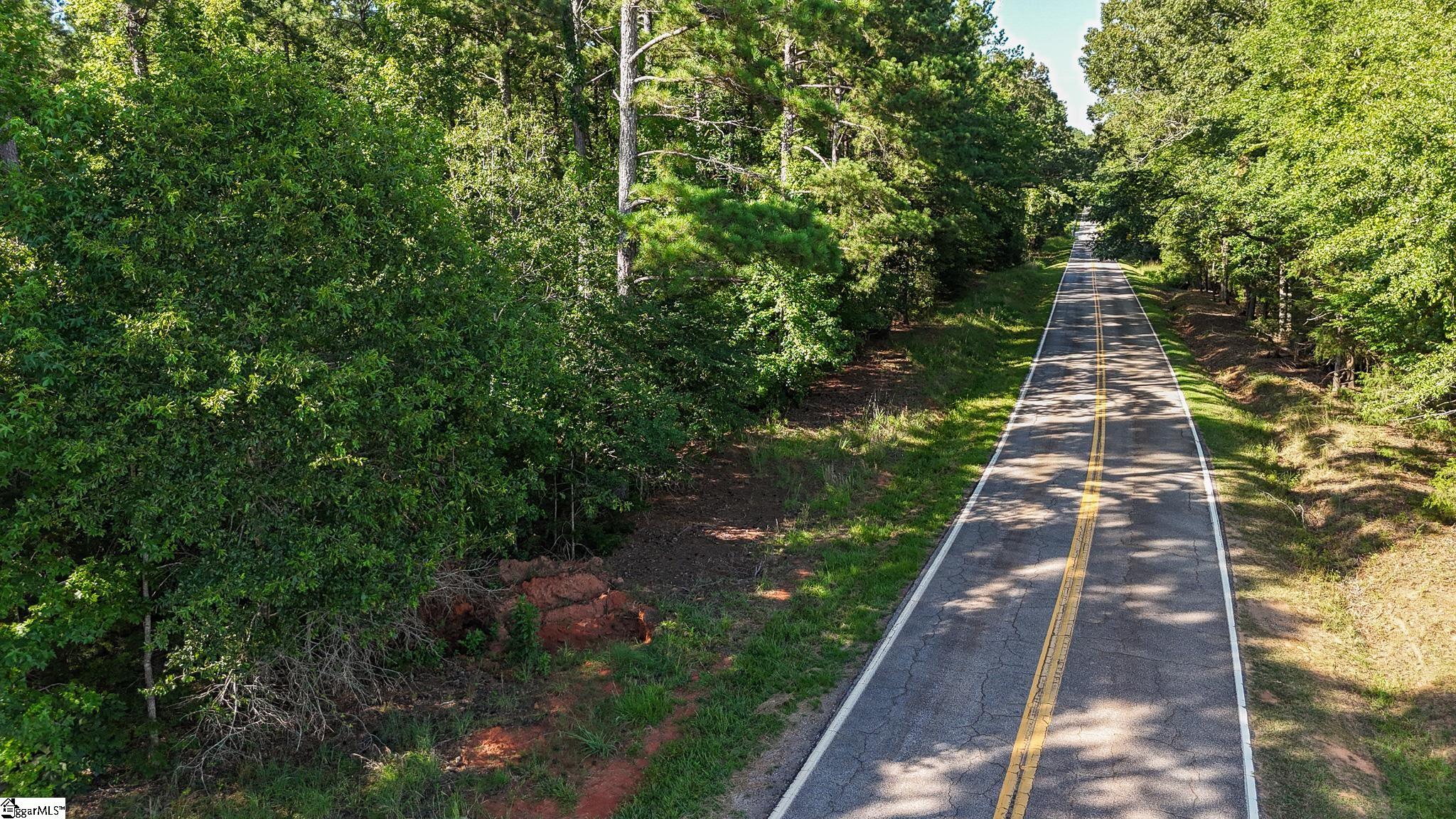 0 Young Road Clinton, SC 29325 - Photo 10 of 26