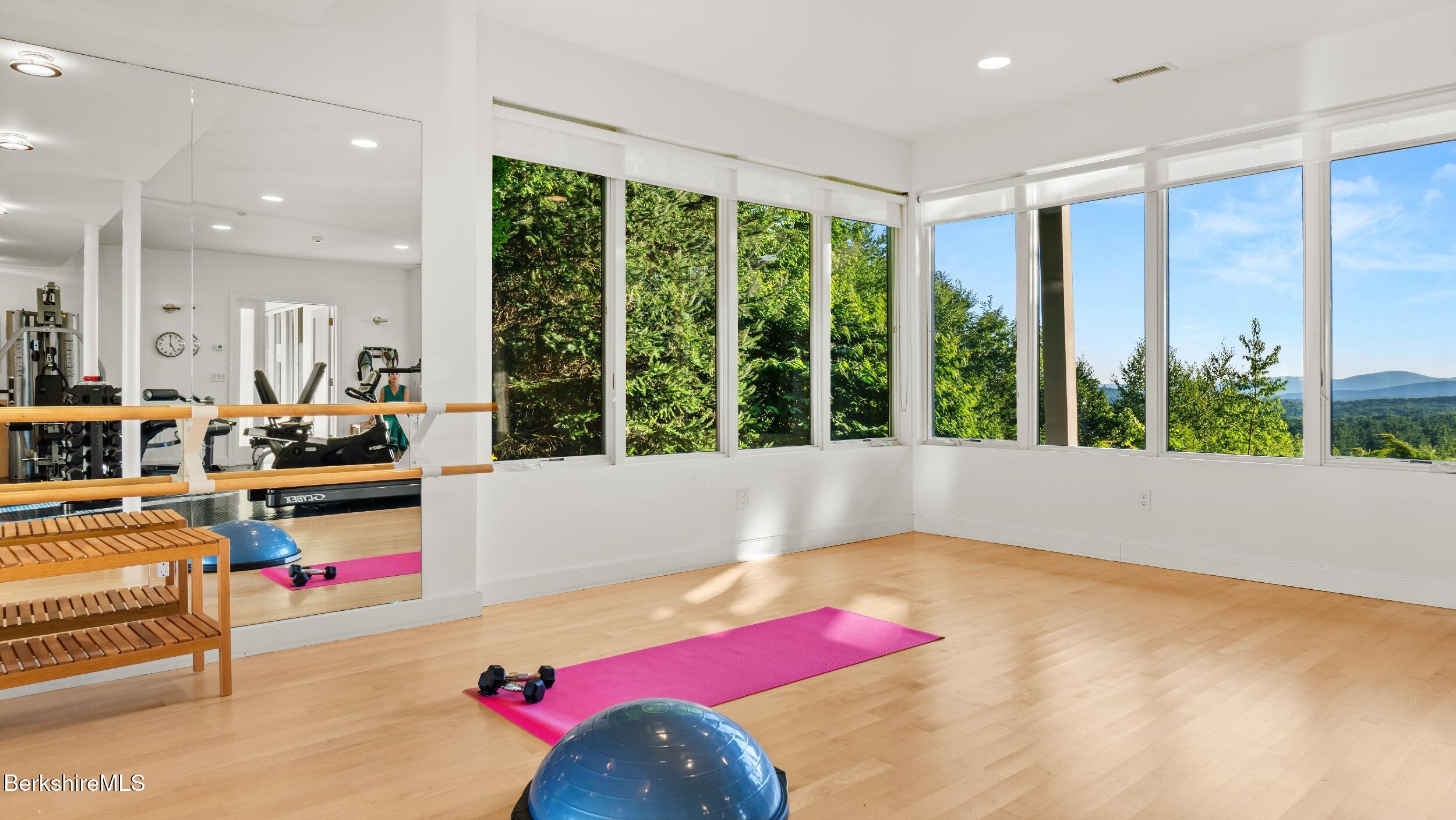 203 Mt Hunger Road Monterey, MA 01245 - Photo 50 of 65 Fitness Studio 2