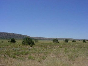 481 Saddle Rock Road Seligman, AZ 86337 - Photo 2 of 3 Additional Photo