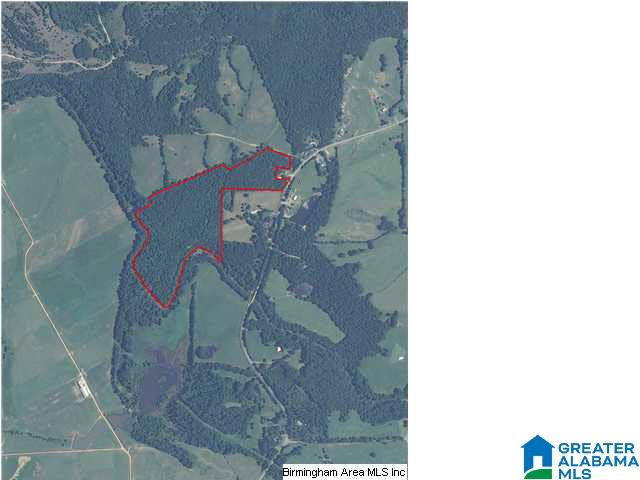33 County Road, Unit 48 Oneonta, AL 35121 - Photo 8 of 33