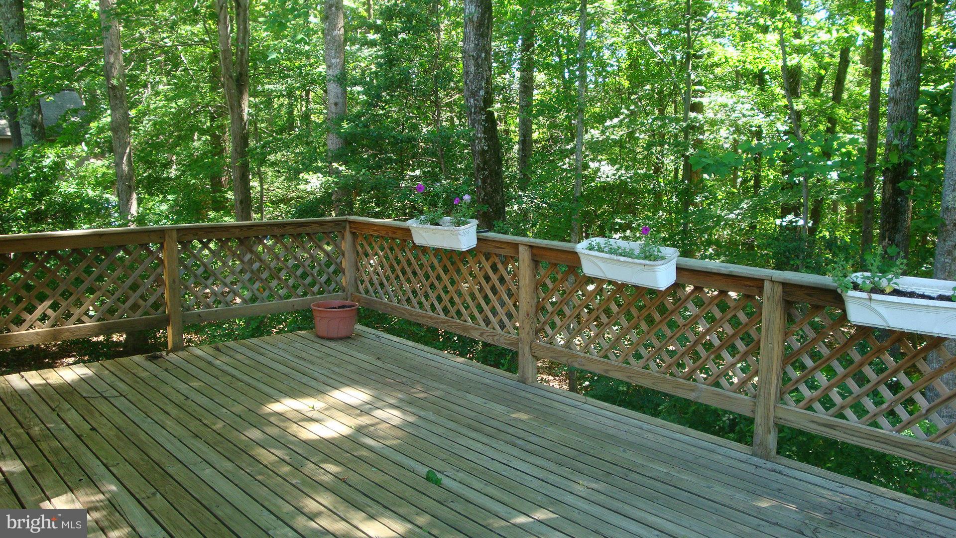 7233 Ridgeway Drive Manassas, VA 20112 - Photo 4 of 18 Exterior (Rear)