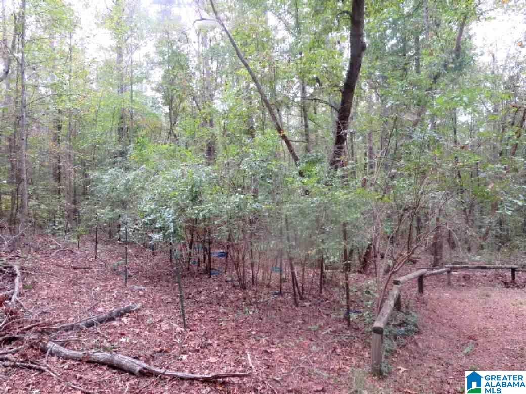 1747 Lake Gerald Circle Delta, AL 36258 - Photo 15 of 17