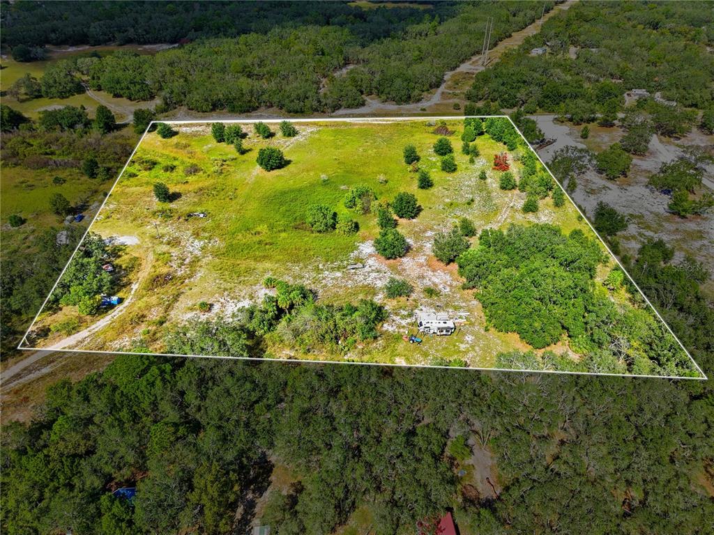 13331 Treaty Road Spring Hill, FL 34610 - Photo 6 of 10 a view of a yard with plants and large trees