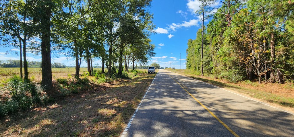 92 County Road 92 Slocomb, AL 36375 - Photo 2 of 32
