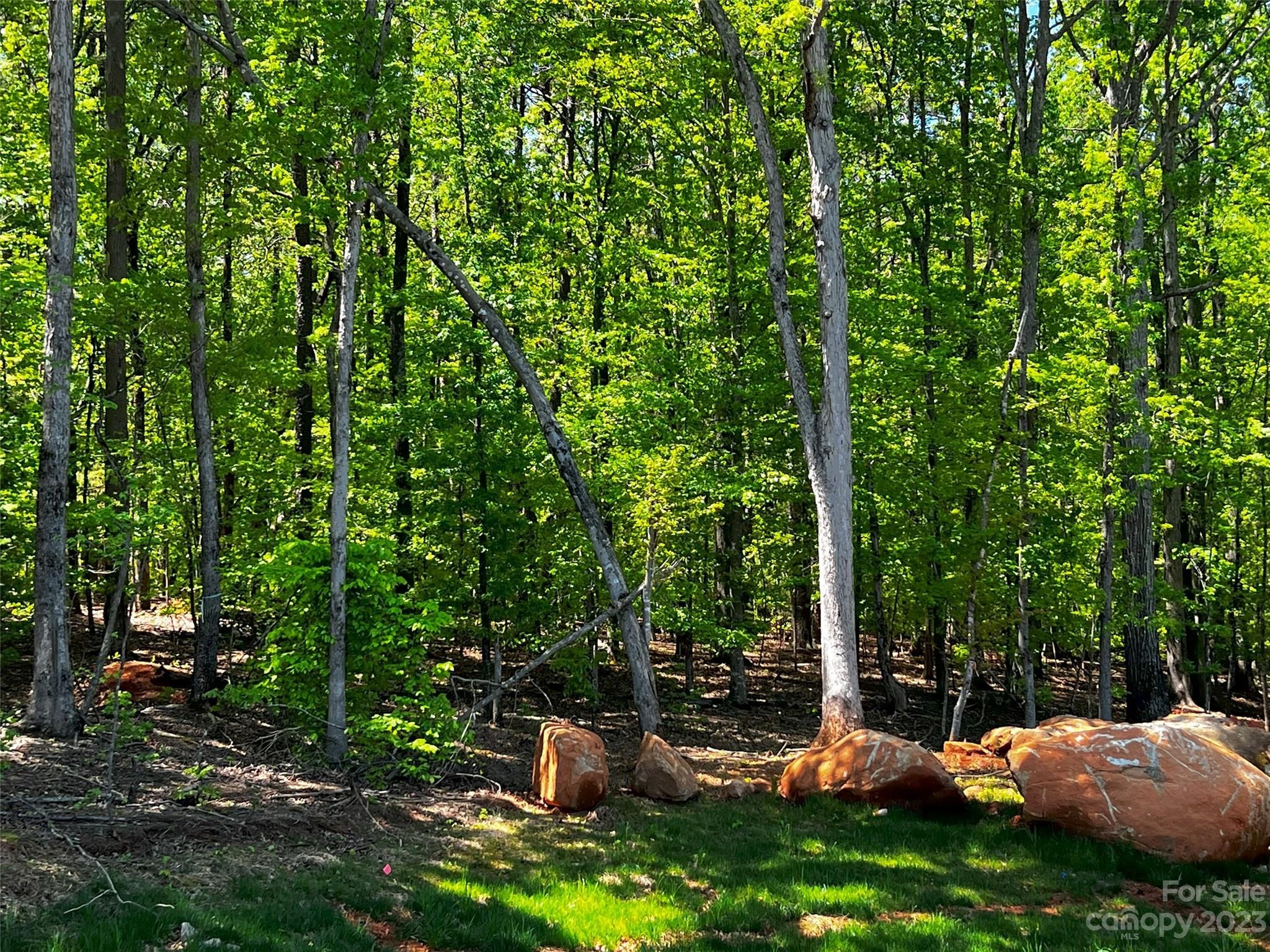 130 Copper Pne Lane, Unit 1 Davidson, NC 28036 - Photo 1 of 19 a view of a lush green forest