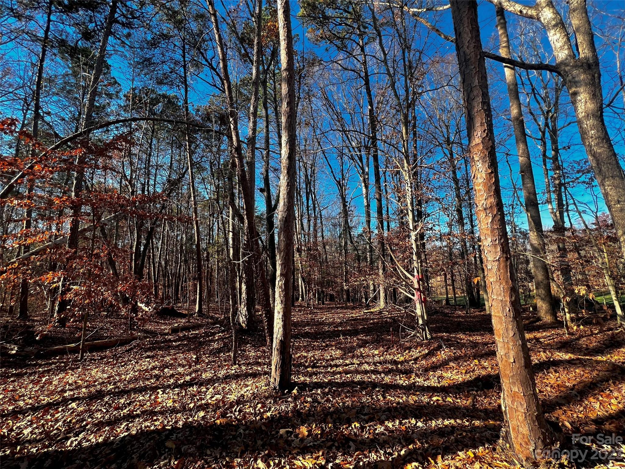 130 Copper Pne Lane, Unit 1 Davidson, NC 28036 - Photo 2 of 19 a view of a backyard of the house