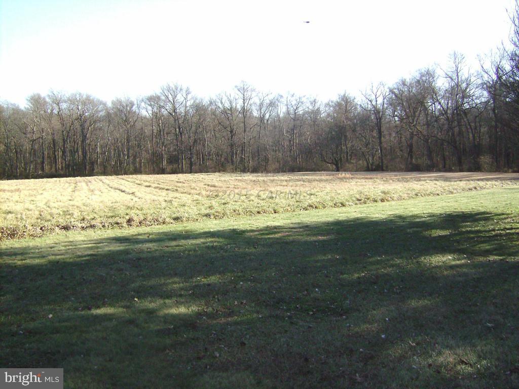 37009 Old Ocean City Road Willards, MD 21874 - Photo 27 of 29