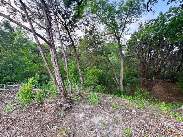 a view of a park with large trees