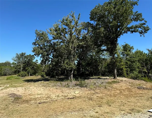 a view of a yard with trees