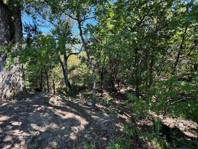 $80,000 | 1017 Cedar Hill Drive, Nemo, TX 76070