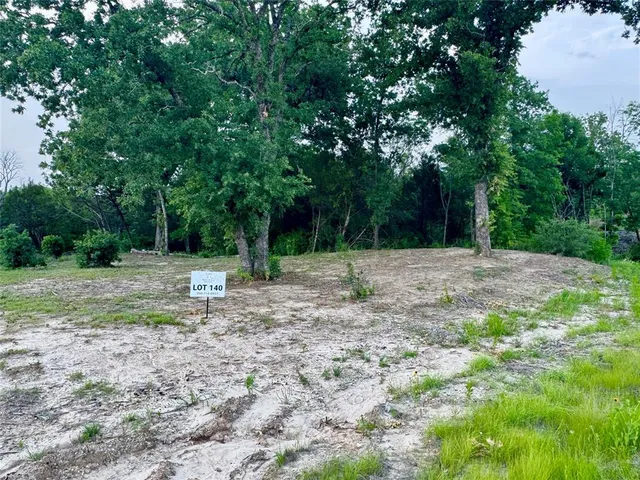 a view of backyard with green space