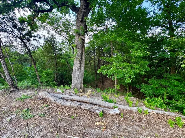 a view of a yard with trees in the background