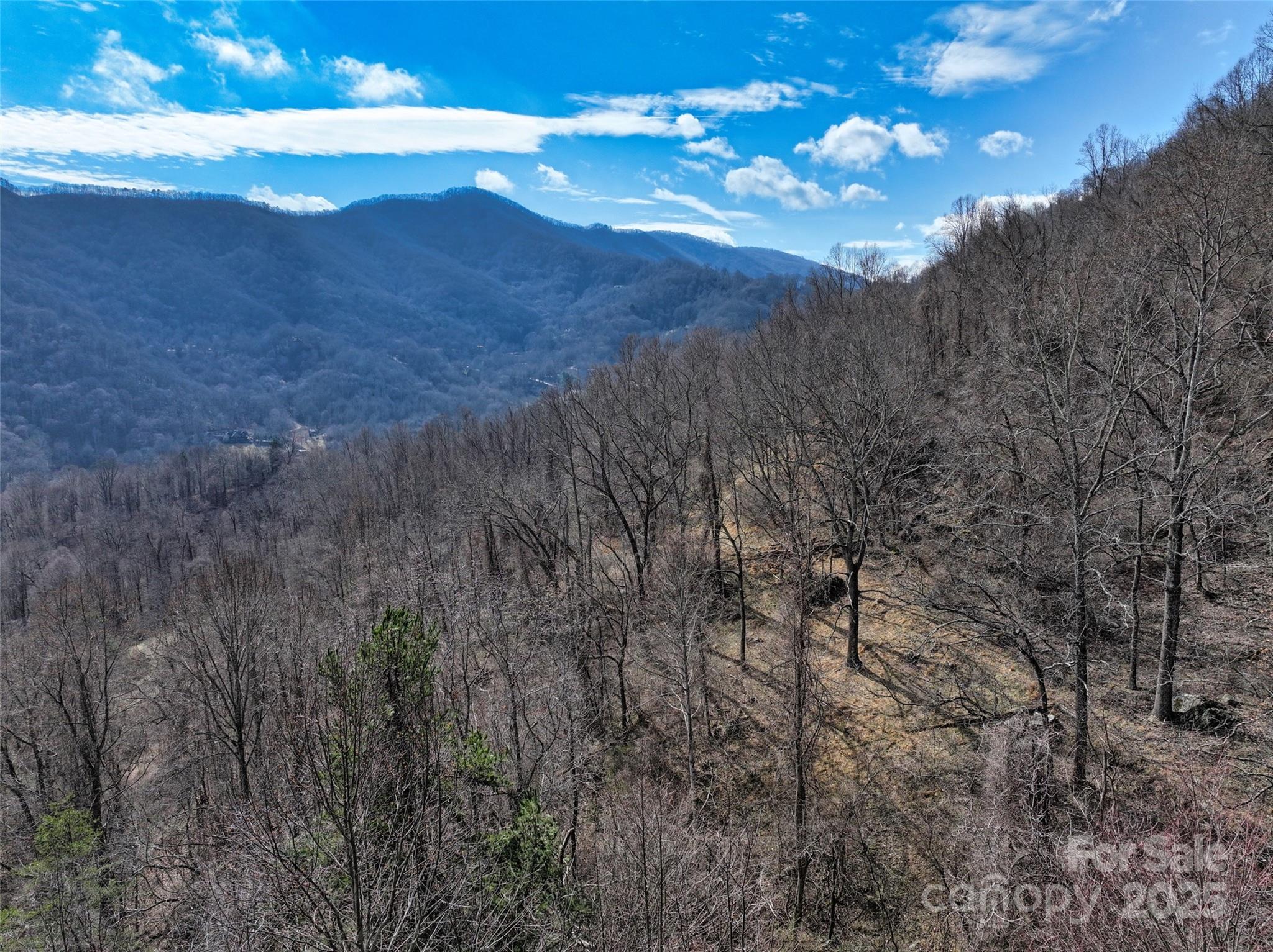 1567 Newfound Road Canton, NC 28716 - Photo 41 of 46 Gallery Image 41