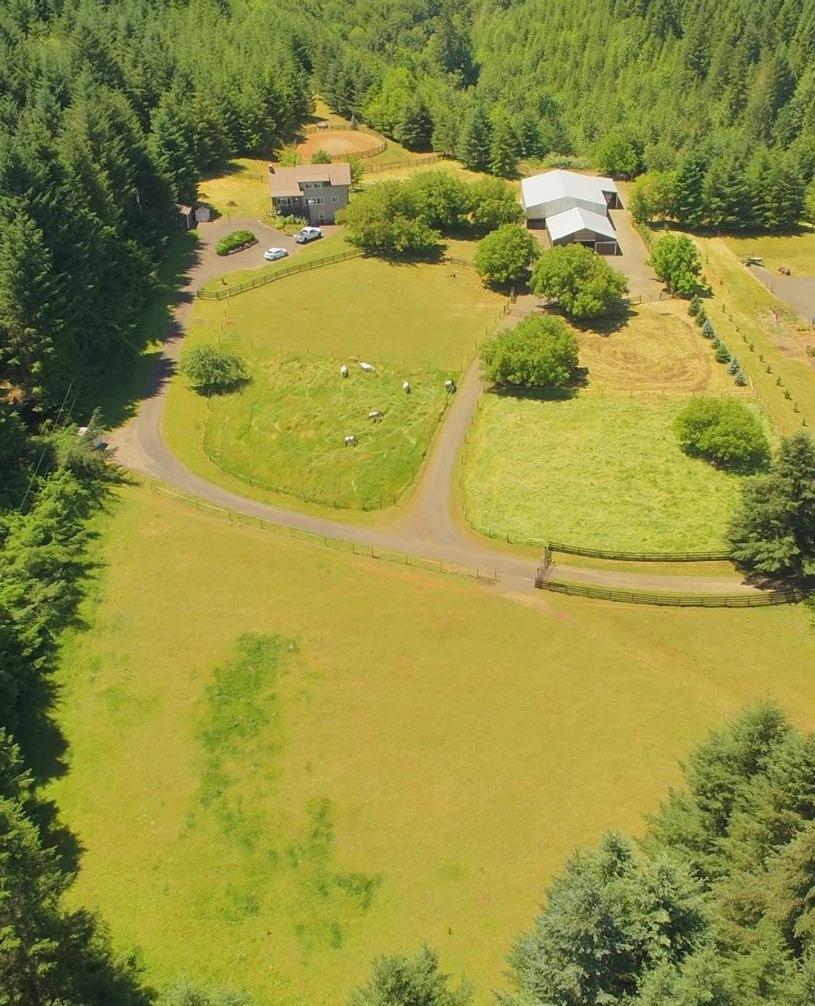 20800 Parry Road Falls City, OR 97344 - Photo 1 of 34 Primary Photo