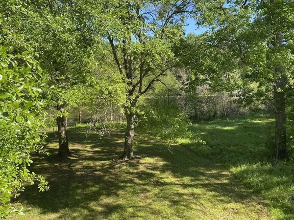 a view of a yard
