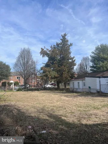a view of a yard with trees