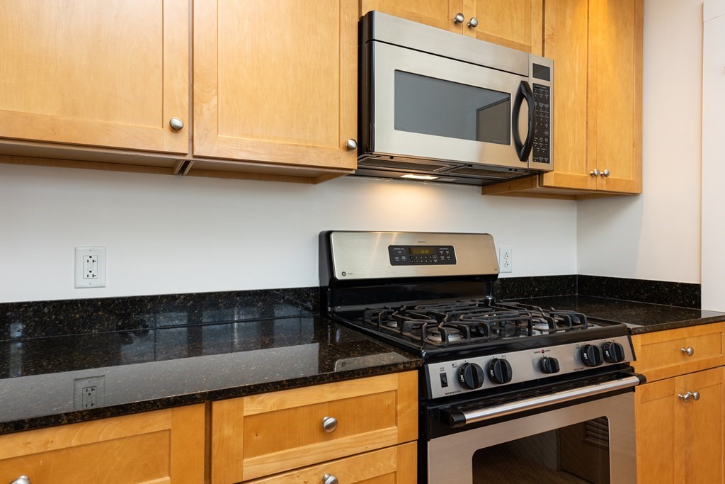 17 Ivaloo Street, Unit 9 Somerville, MA 02143 - Photo 9 of 23