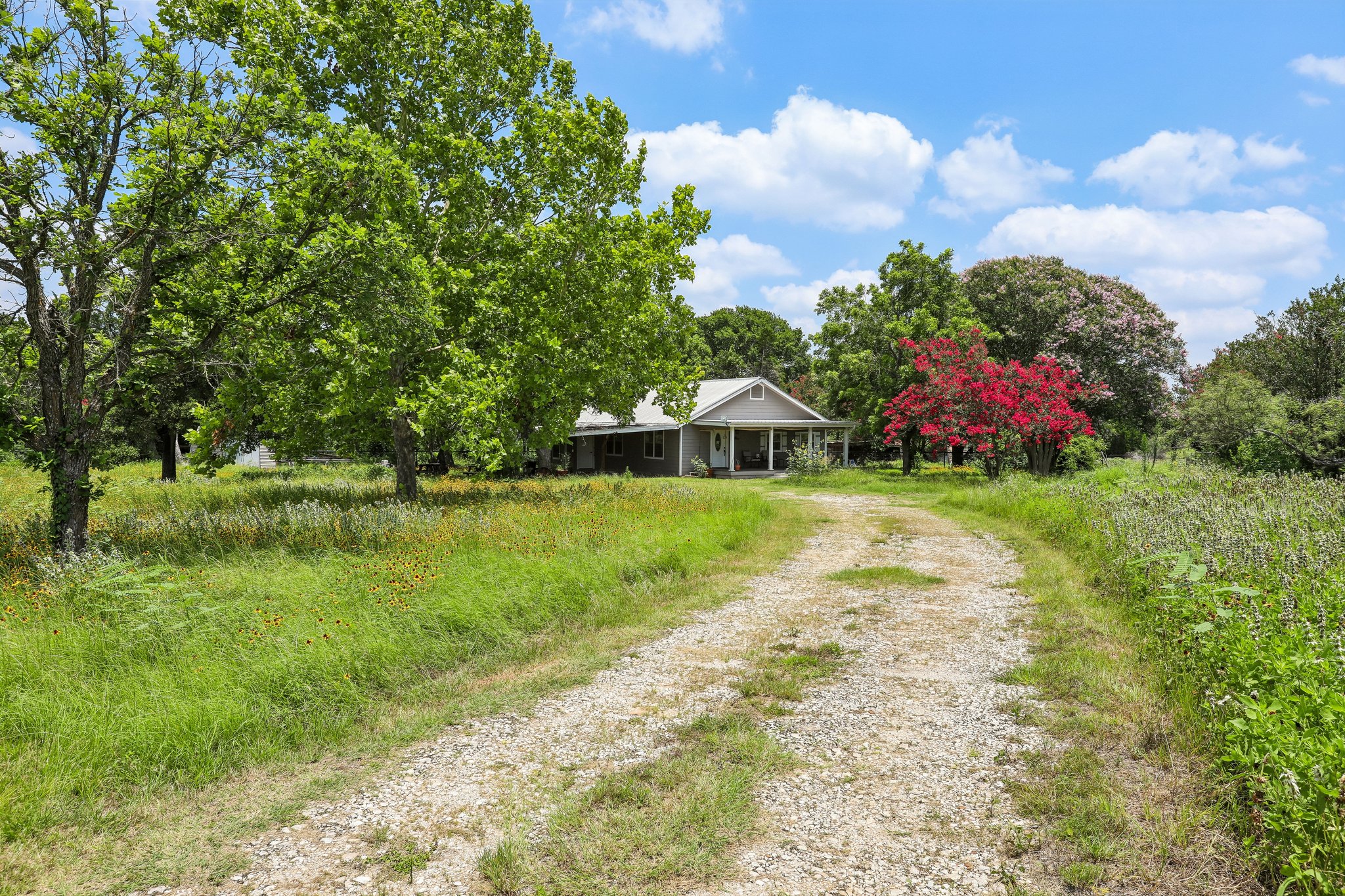 2089 Farm To Market Road 1704 Elgin, TX 78621 - Photo 2 of 31 A long gravel driveway leads to a secluded home nestled among mature trees and vibrant greenery.