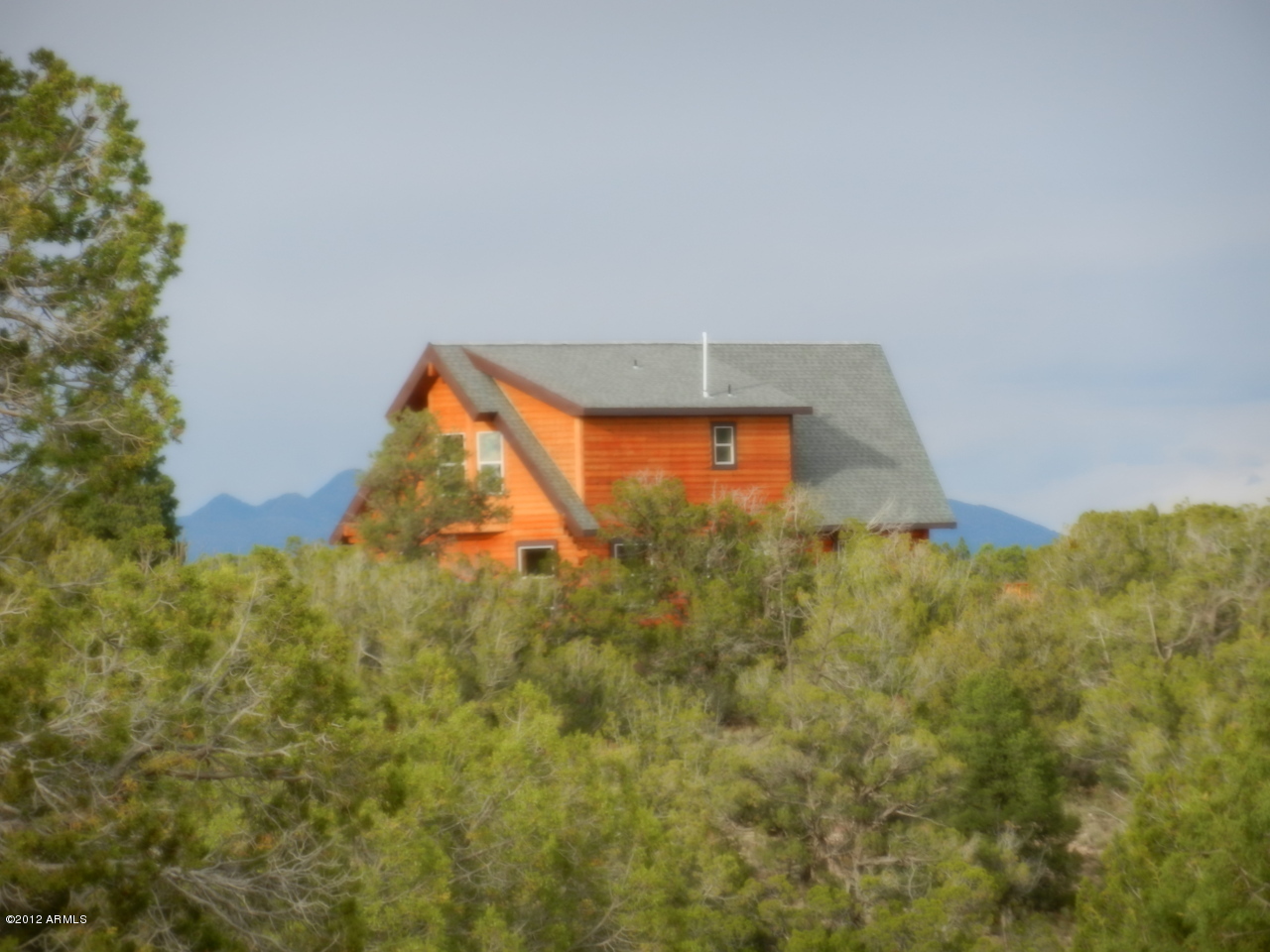 30485 West Conejo Road Seligman, AZ 86337 - Photo 4 of 10 65