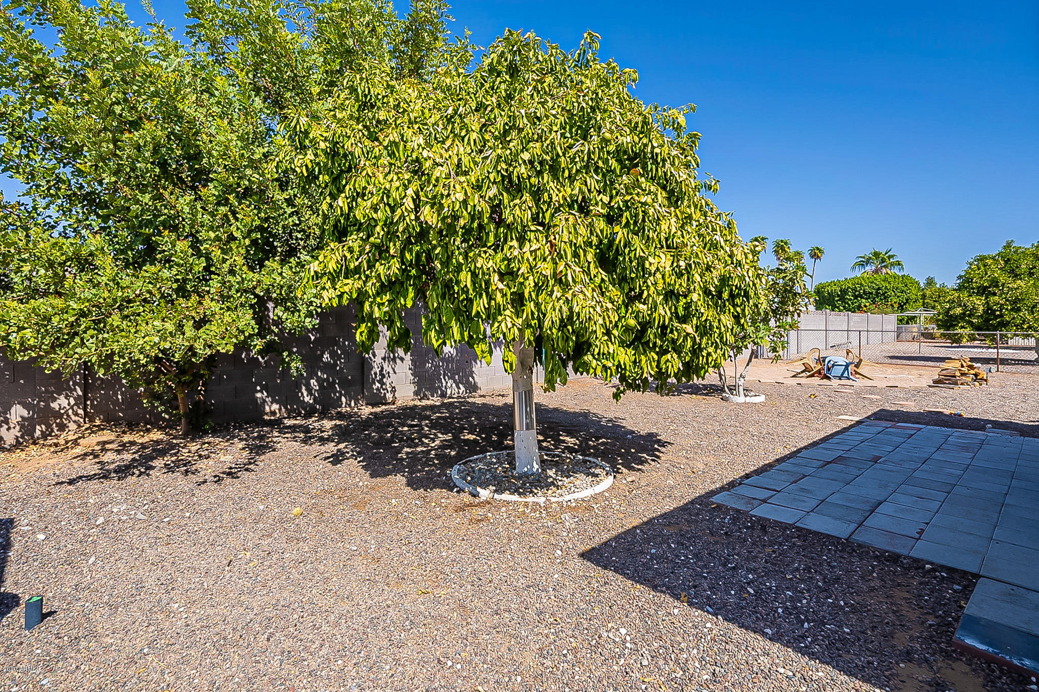 5710 East Decatur Street Mesa, AZ 85205 - Photo 29 of 34 Decatur-32
