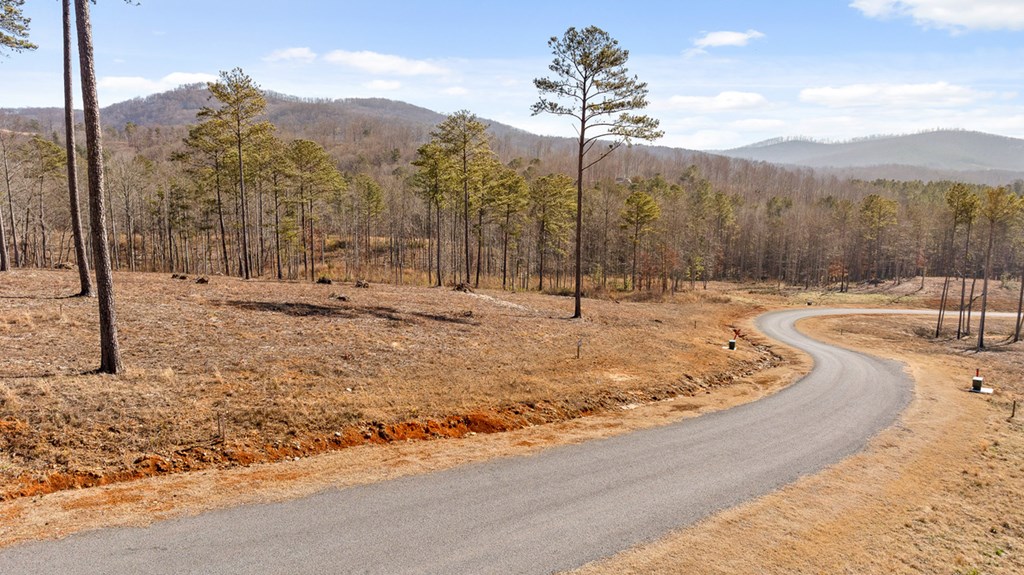 Lot 293 Twisted Oak Road Talking Rock, GA 30175 - Photo 14 of 46 Gallery Image 14