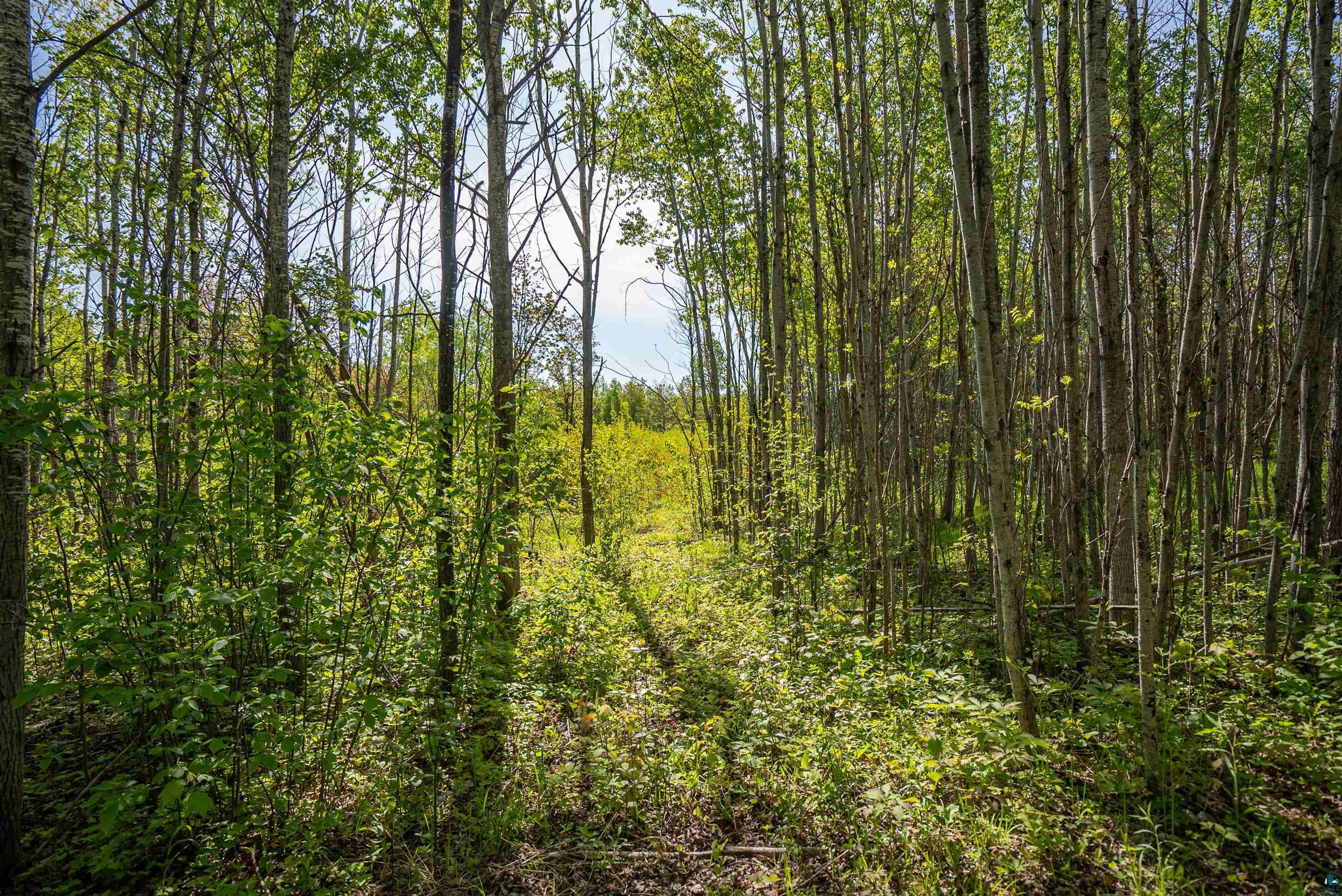 3679 22nd Road South Range, WI 54874 - Photo 40 of 48