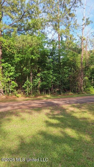 0 Smith Lane Wesson, MS 39191 - Photo 2 of 9 image1
